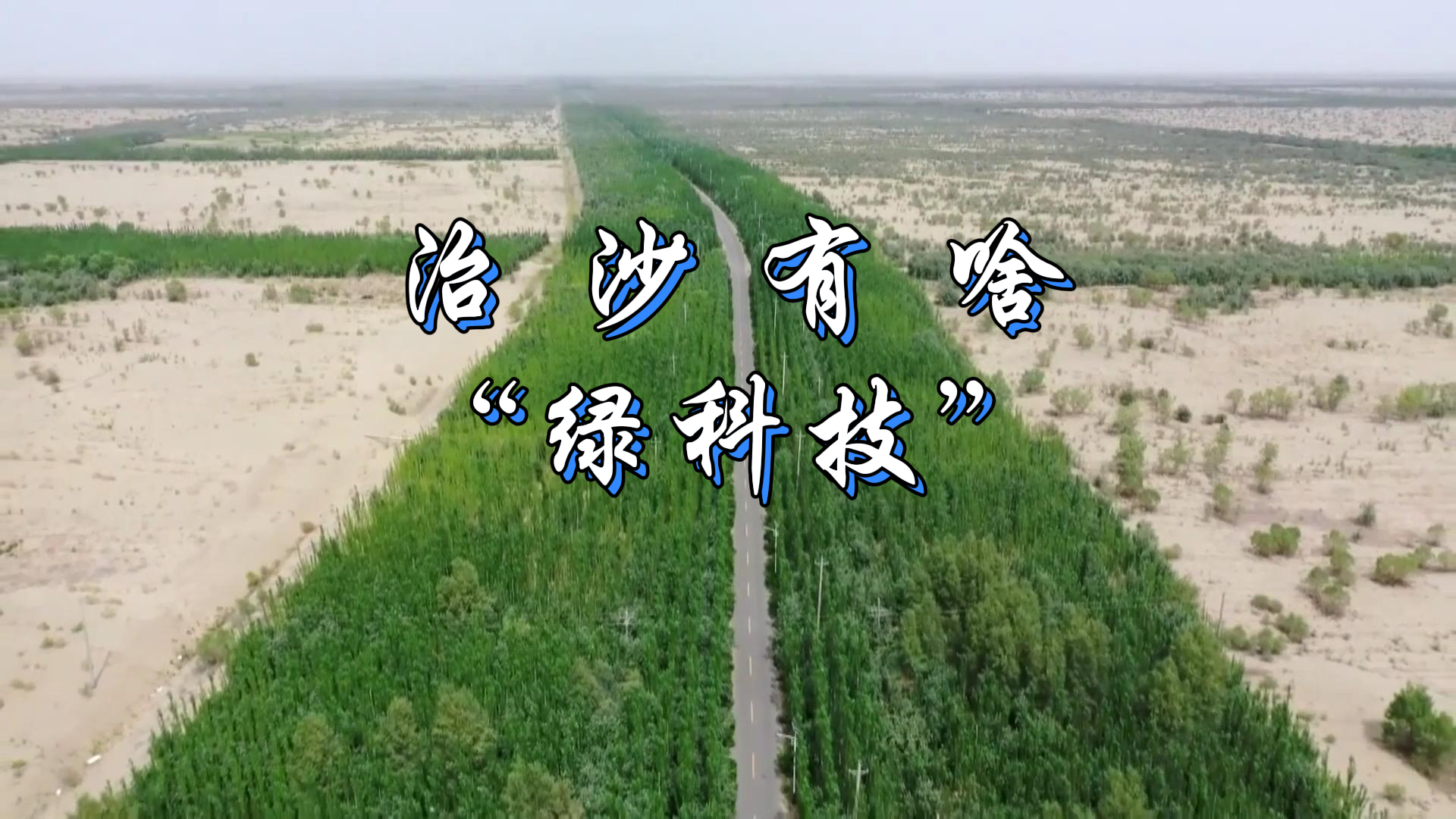绿染荒漠 点沙成金｜治沙有啥“绿科技”