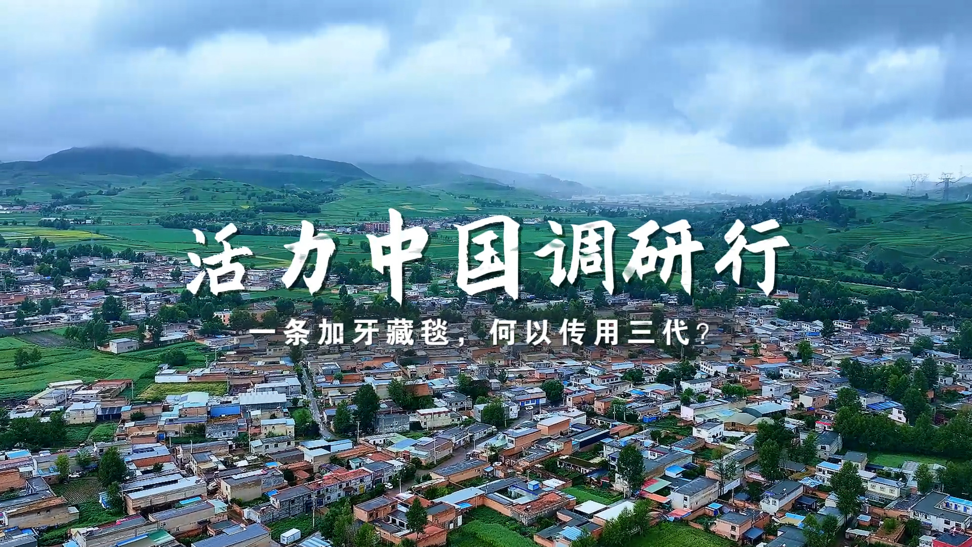 活力中国调研行 | 一条加牙藏毯，何以传用三代？