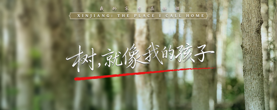 树，就像我的孩子