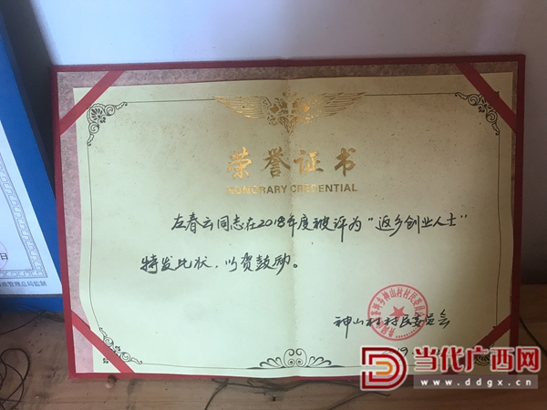 创出成绩的左春云获得村里颁发的荣誉证书。王海波摄.jpg
