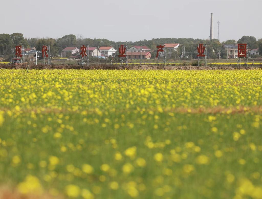 新华社记者 王晔 摄