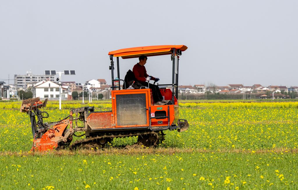 新华社记者 谢环驰 摄