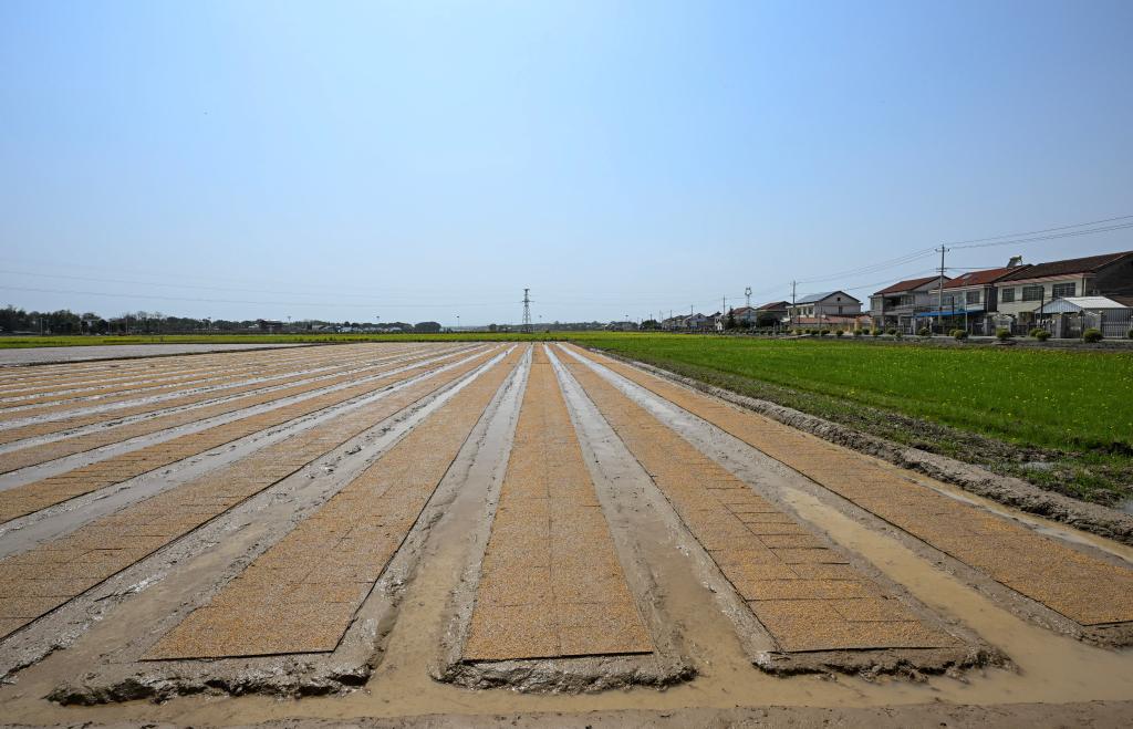 新华社记者 谢环驰 摄