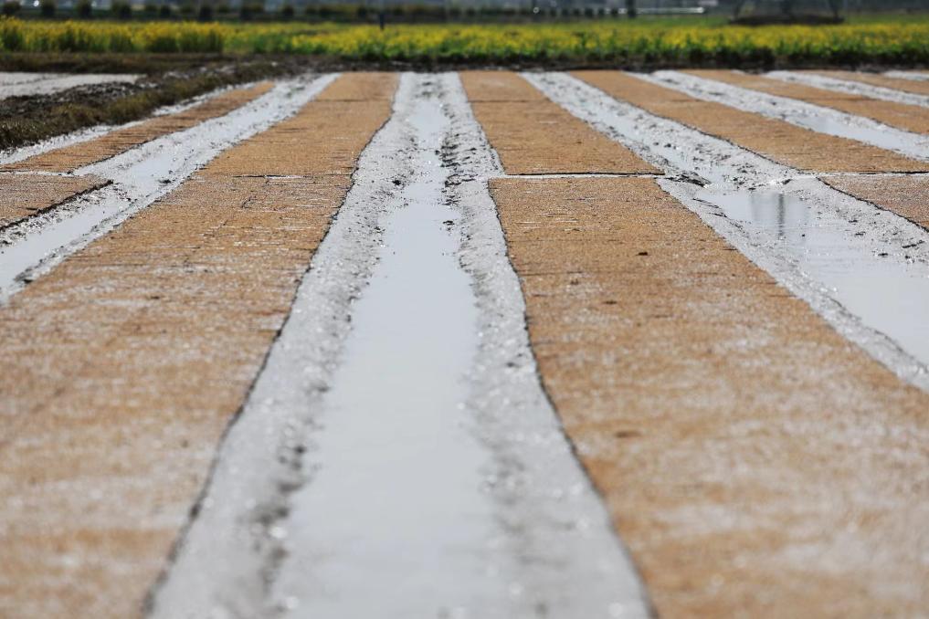 新华社记者 王晔 摄