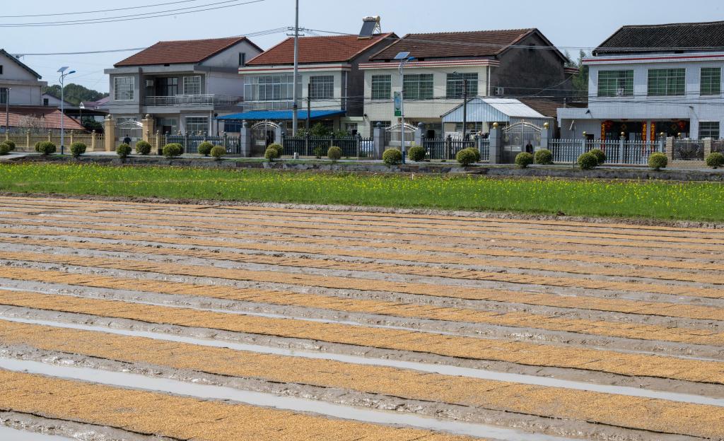 新华社记者 谢环驰 摄