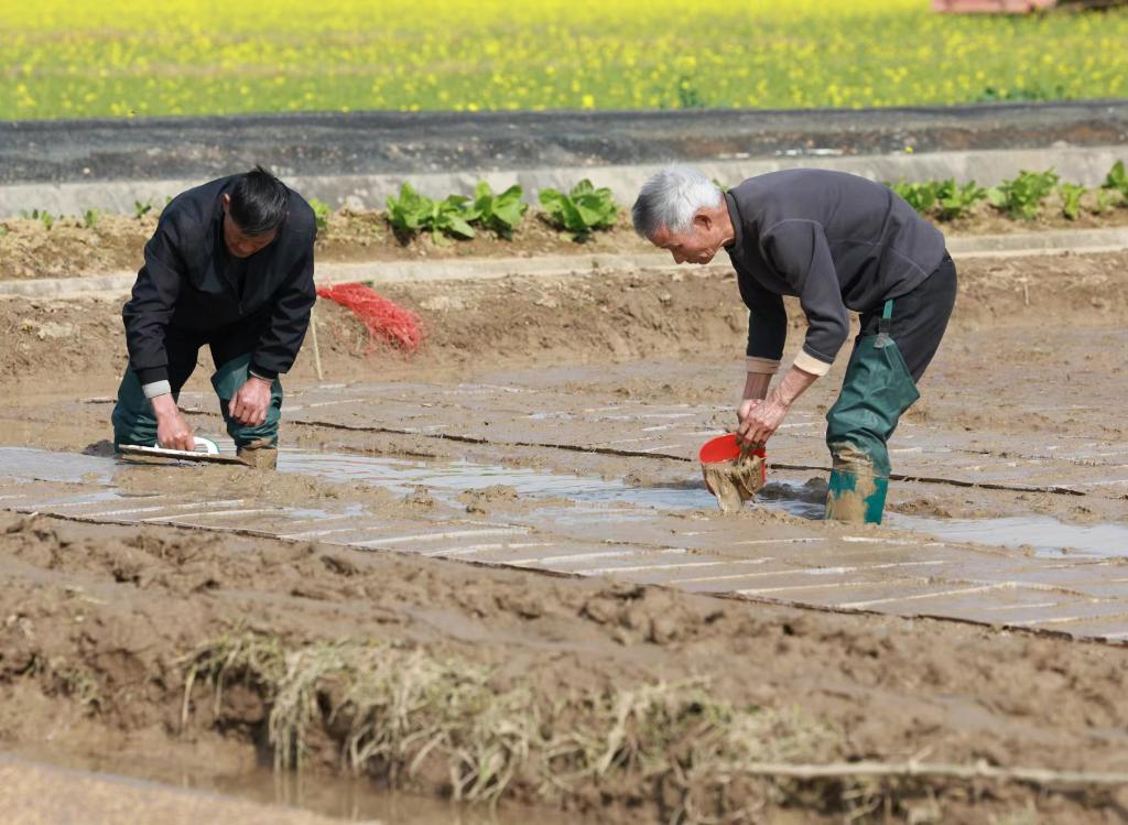 新华社记者 王晔 摄
