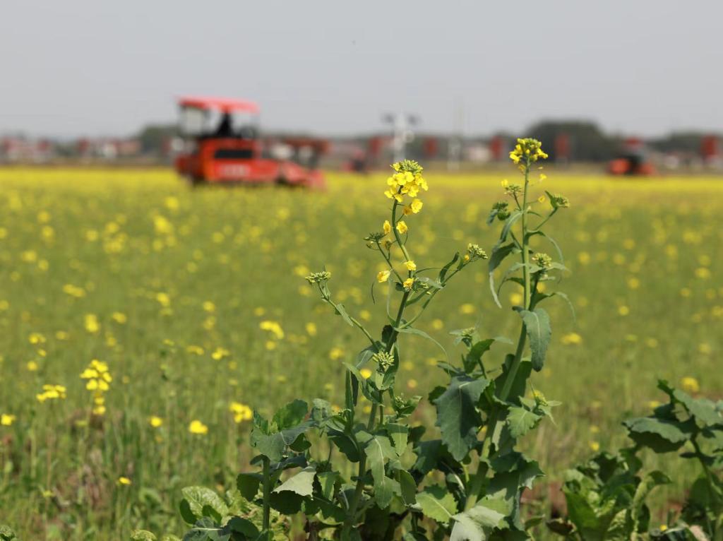 新华社记者 王晔 摄