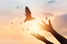 河北省石家庄市正定县&mdash;&mdash;古城焕发新活力