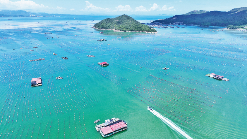 深化立法领域改革