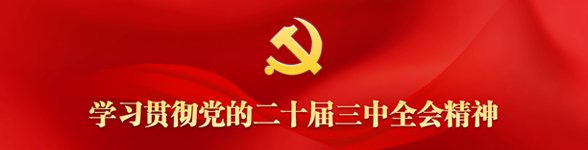 学习贯彻党的二十届三中全会精神