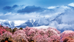 林芝：雪域“桃花源”的生态富民画卷