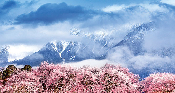 林芝：雪域“桃花源”的生态富民画卷